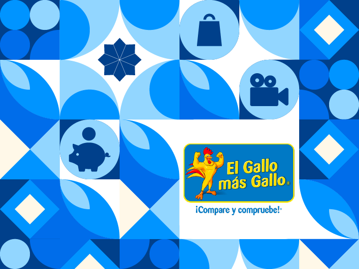 IMG-GALLERY